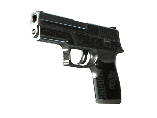 StatTrak™P250|Cartel(Field-Tested)