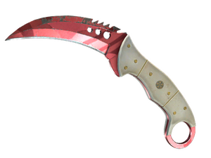 ★ StatTrak™ Talon Knife | Slaughter (Field-Tested)