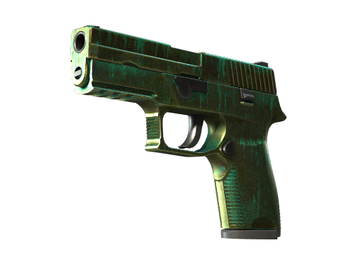 P250|Verdigris(Battle-Scarred)