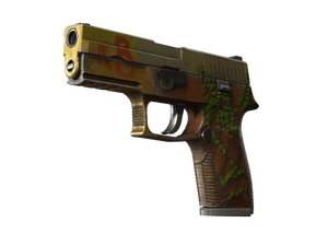 StatTrak™ P250 | Inferno (Battle-Scarred)