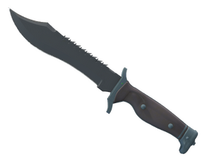 ★ Bowie Knife | Night (Factory New)
