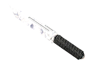 ★ StatTrak™ Paracord Knife | Stained (Factory New)