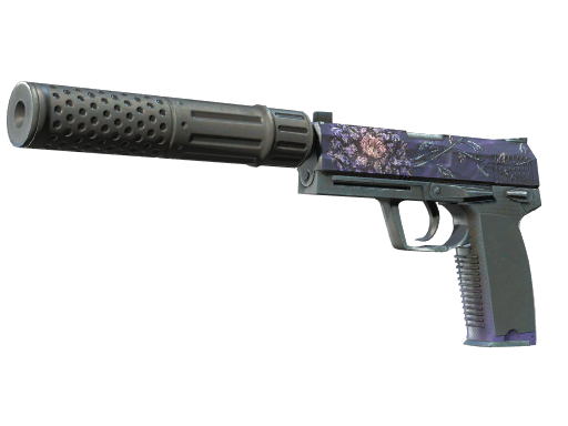 USP-S|BlackLotus(Well-Worn)