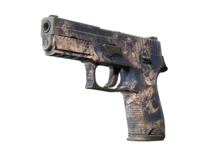 Souvenir P250 | Drought (Field-Tested)
