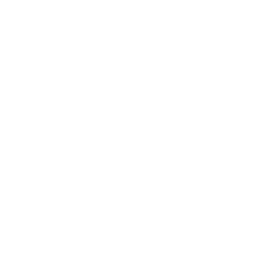 Team Secret Team Sticker - TI 2022