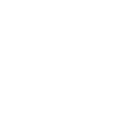 Tundra Esports Team Sticker - TI 2022 Champion