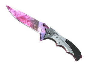 ★ Nomad Knife | Doppler Phase 2 (Minimal Wear)