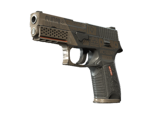 P250|Bullfrog(Well-Worn)