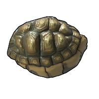 Tortoise Rock