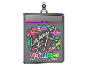 Sticker Slab | Lucaozy (Holo) | Budapest 2025