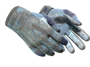 ★ Sport Gloves | Frosty (Battle-Scarred)
