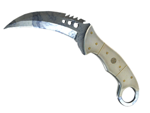 ★ Talon Knife | Stained (Factory New)