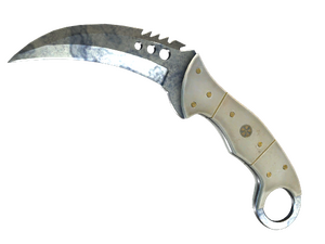 ★ StatTrak™ Talon Knife | Stained (Field-Tested)