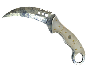 ★ StatTrak™ Talon Knife | Stained (Battle-Scarred)