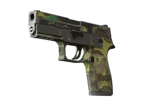 P250 | Boreal Forest (Battle-Scarred)