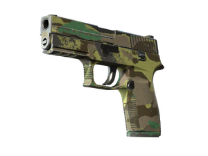 Souvenir P250 | Boreal Forest (Field-Tested)
