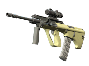 Souvenir AUG | Colony (Well-Worn)