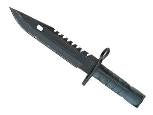 ★ M9 Bayonet | Night (Well-Worn)