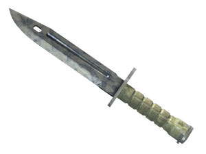 ★ Bayonet | Stained (Field-Tested)