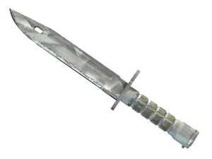 ★ Bayonet | Urban Masked (Well-Worn)