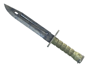 ★ Bayonet | Stained (Factory New)