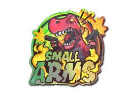 Small Arms (Holo)