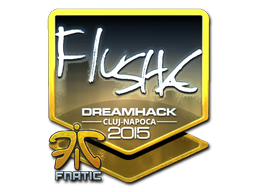 flusha (Foil) | Cluj-Napoca 2015