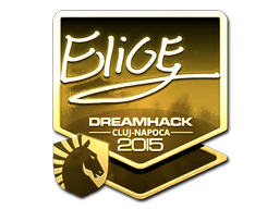 EliGE (Gold) | Cluj-Napoca 2015