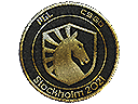 Team Liquid (gold) | Stockholm 2021