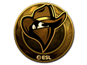Renegades (Gold) | Katowice 2019